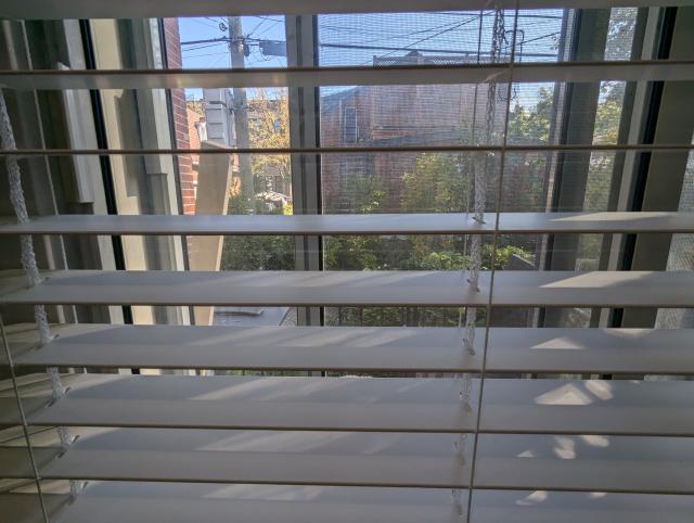 PXL_20240924_144358714.jpg
