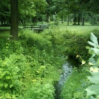 Parc_Angrignon.jpg