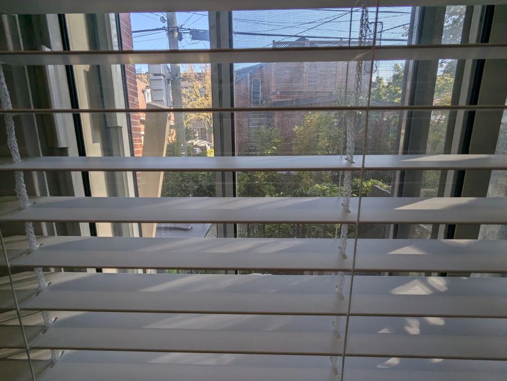 PXL_20240924_144358714.jpg