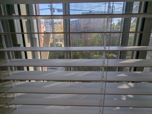 PXL_20240924_144358714.jpg